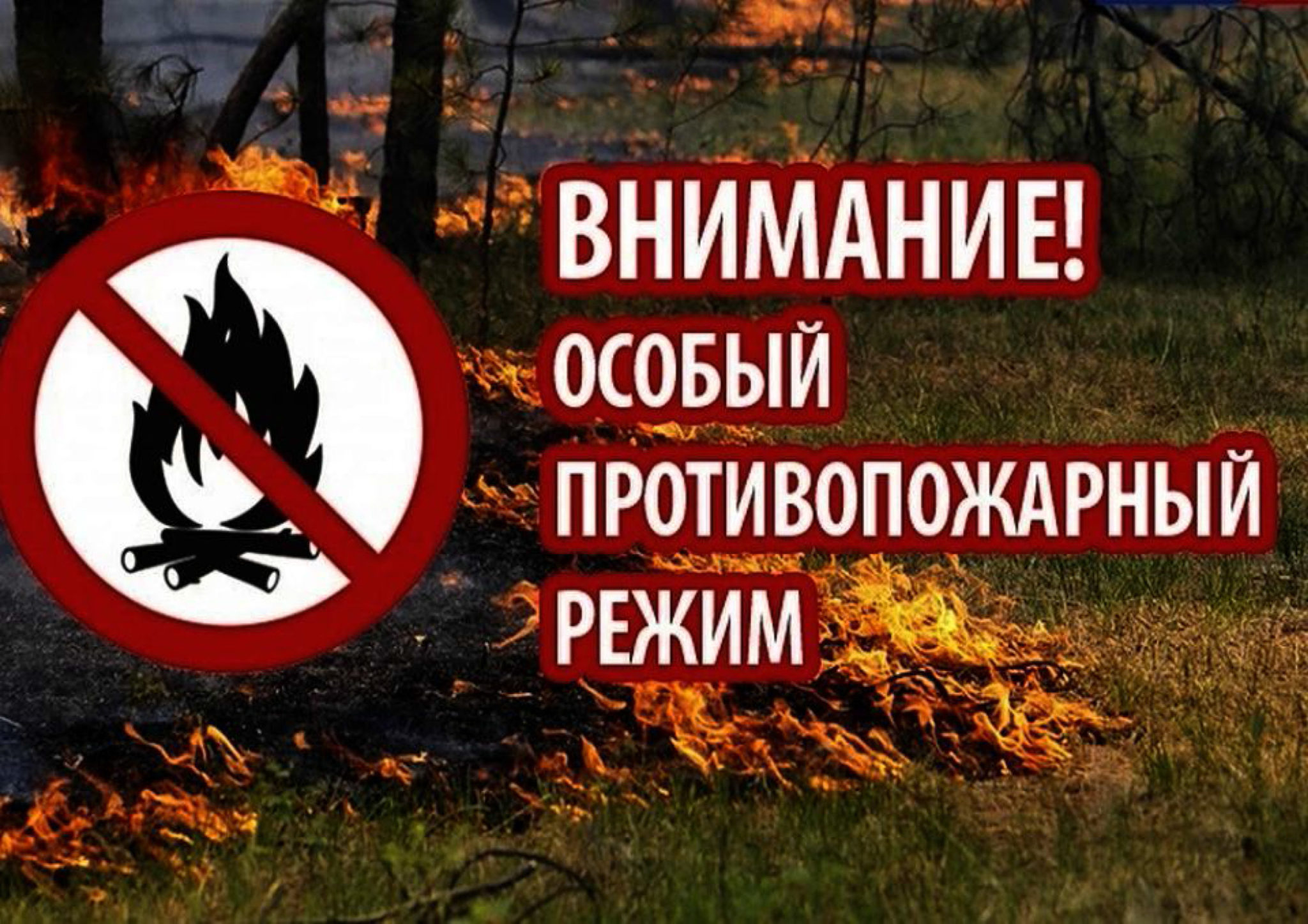 Памятка по правилам пожарной безопасности в весенне-летний пожароопасный период.