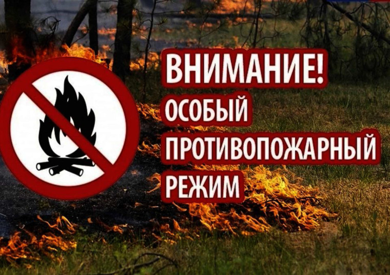 Памятка по правилам пожарной безопасности в весенне-летний пожароопасный период. Памятка по правилам пожарной безопасности в весенне-летний пожароопасный период.
