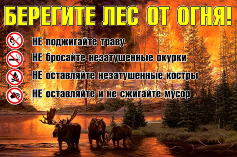 О соблюдении правил пожарной безопасности в лесах. О соблюдении правил пожарной безопасности в лесах.